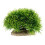 Fish Tank Plant Decorations, Piante Per , 8