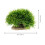 Fish Tank Plant Decorations, Piante Per , 6