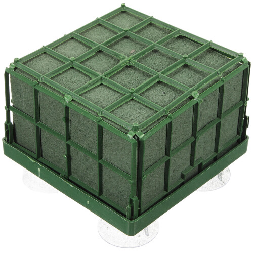 Cage Per Composizioni Floreali Con Ventosa E Base In 1