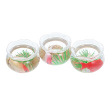 3Pcs Miniatura Com Koi Plástico Transparente