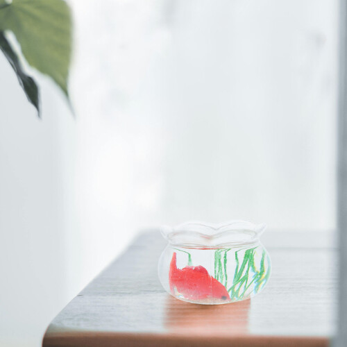 3Pcs Miniatura Com Koi Plástico Transparente 2