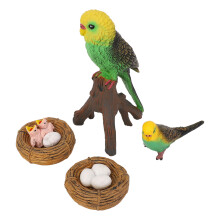 4 Stück Realistische Papageien-Wachstumskreislauf-Figuren PVC Bildung Tiermodelle