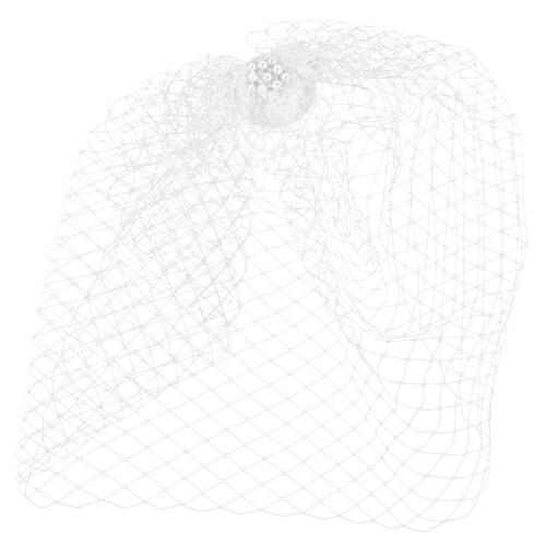 2 Pièces De Cage À Oiseaux Mariage En Accessoire 1