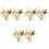 6 Pezzi Boutonniere Sposa per Festa 5