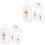 12 Pezzi Bottiglie Vuote Santa Cristiana A 5