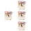 4Set Set Carte Voti Con Elegante Decorativa 6