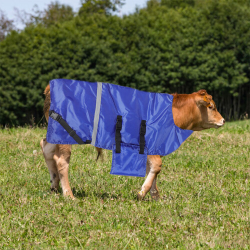 Cappotto Impermeabile Per Con Protezione Addominale 2