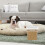 2 Pcs Hermetico Para Ração De Cão E Grãos Secos 5