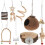 27 Pcs Brinquedo Mastigável Para De 3