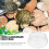 Round Fish Bowl Transparente Casca Pequeno 8