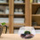 Round Fish Bowl Transparente Casca Pequeno 5