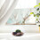 Round Fish Bowl Transparente Casca Pequeno 6