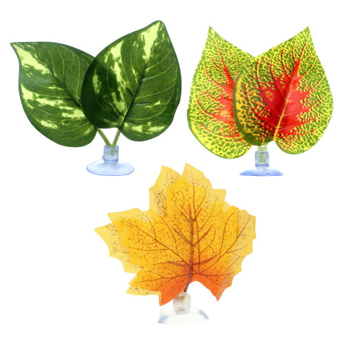 12 Unidades De Criação Para Betta Decoração 2