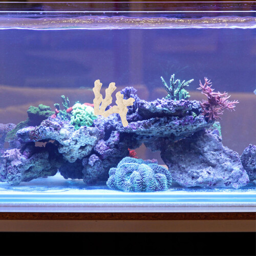 1 Set Koraalzand Aquariumfilter En Decoratie 2