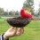 Creatieve Slaapkamerindeling Prop Simulatie Versiering 10