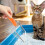 Pet Kattenbak Schep Deep Poop Lifter RVS Kattenbak Schep 5