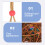 Foraging Parrot Toy Multi Vine 1pack Indoor Play 8