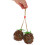 Foraging Parrot Toy Multi Vine 1pack Indoor Play 7