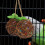Foraging Parrot Toy Multi Vine 1pack Indoor Play 3