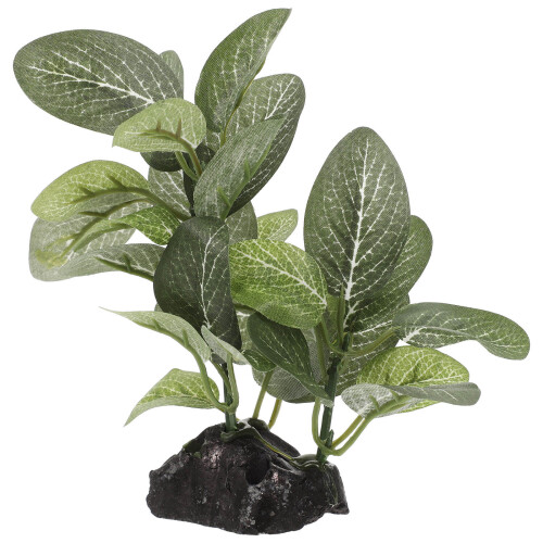3Pcs Para Simulação Planta De 2