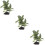 3Pcs Para Simulação Planta De 11