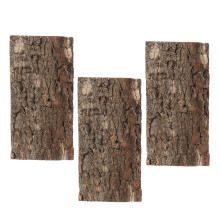 3Pcs Reptil Bark Fundo Terrário Painel Decorativo Parede