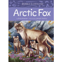 Animals Illustrated Arctic Fox by Brian Koonoo Hardcover Book