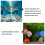 2 Set Filter Aquarium Vissenbak Vijver Sponsfilter 2
