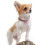 Puppy Pet Necklace Heart Pattern Collar Adjustable 2