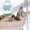 Cat Corner Groomer Rubber Massage Wandmontage 2