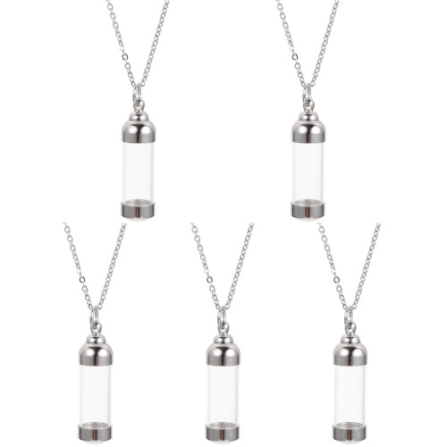 5Ud Collar Urna Para Perro Plata Con Y Perfume 1