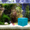 Acuario Reutilizable Cubo Profesional Para Pecera 10