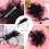 Pluma Cierre Accesorio Foto Negro 11