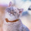 Collier Pour Chat , Portable, Design Ornement 8
