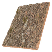 4 Pièces Fond Pour Terrarium En De Liège Pour Reptile