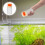 Fish Tank Food Feeder Per Alimentazione 4