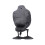 Realistic 40cm Plastic Crow for Scaring Off Pigeons & Sparrows 1