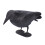 Realistic 40cm Plastic Crow for Scaring Off Pigeons & Sparrows 8