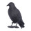 Realistic 40cm Plastic Crow for Scaring Off Pigeons & Sparrows 14