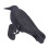Realistic 40cm Plastic Crow for Scaring Off Pigeons & Sparrows 6