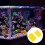 2 Juegos Práctico Para Acuario Pecera Espuma 5