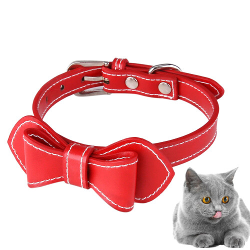 Pu Collar Para Lazo Anillo Perro 2
