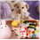 De Ojos De Plástico Para Peluches, Muñecas Y 7