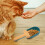 2 Pièces Pour Chat En De 7