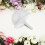 Wedding Bride Bouquet Holder In Con In Schiuma 7