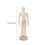 Decorativo De Madeira Articulado 33Cm Para 3