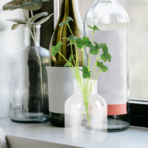5 Unidades Planta Artificial Grama Aquática Para 1