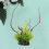Planta Artificial De Para Acuario 9