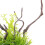 Planta Artificial De Para Acuario 7