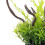 Planta Artificial De Para Acuario 6